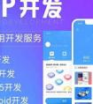 企業(yè)在開發(fā)APP應(yīng)用之前必想的5個因素
